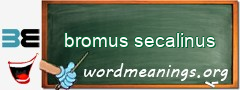 WordMeaning blackboard for bromus secalinus